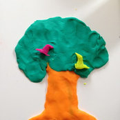 Foto de Elizabeth Schneider