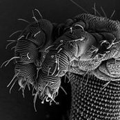 Steven Stoddart's photo
