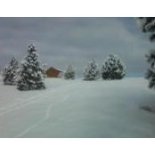 Guy Pedersen's photo