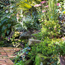Rockery