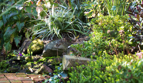 16 Ideas for Pretty Rockeries
