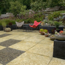 Landscape Ideas
