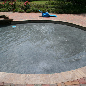 Tropical Pool | Craddock Residence