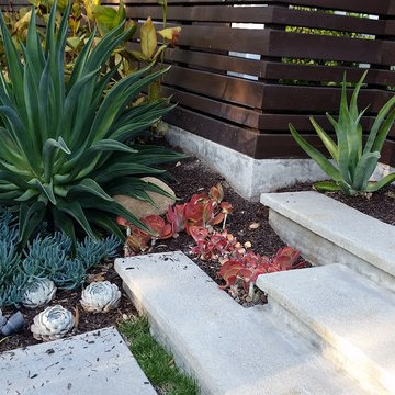 General Clean-up & Plant Additions