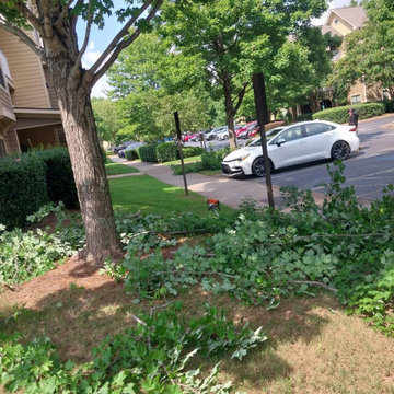 Emmanuel Estrada's Landscaping completed a landscape maintenance project focused