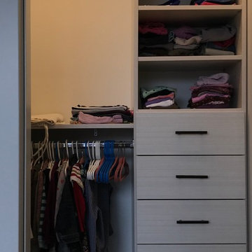 Master Walk In & Tall Closets - Brooklyn