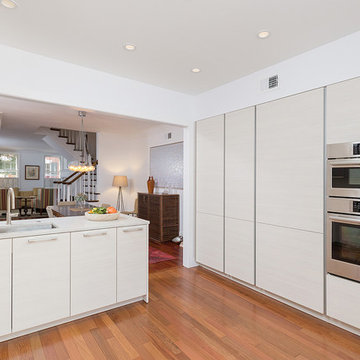 Old City, Philadelphia: Sleek Modern Kitchen with Triptych Cafe Door