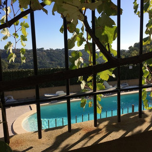 Modelo de piscina natural, mediterránea, pequeña, rectangular, en patio delantero, con suelo de baldosas