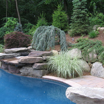 Pool Deck & Oasis