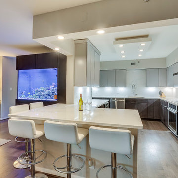 Contemporary Kitchen & Aquarium Design Falls Church, VA