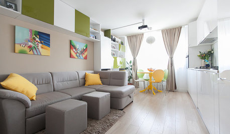 Houzz Tour: A One-Bedroom Apartment Gets Another Room