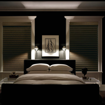 Hunter Douglas Silhouette® Window Shadings