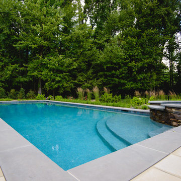 Geometric Natural Pool