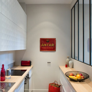 Modelo de cocina de galera, contemporánea, de tamaño medio, cerrada, sin isla, con puertas de armario blancas