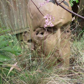 Cole Valley Garden