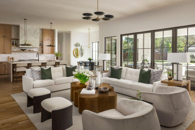 Living room - transitional living room idea in Dallas