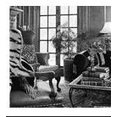 Ludmila's Custom Curtains's profile photo