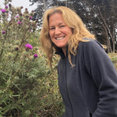 Down to Earth Landscaping Inc's profile photo