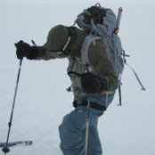Ben Lewis's photo