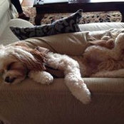 Cindy Bailey's photo