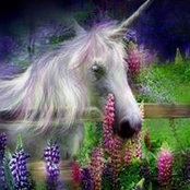 Debbie Webb-Hickman's photo