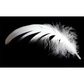 Nicole Harris-Hillier's photo