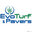 Evo Turf & Pavers