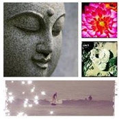 Jen Schollenberger's photo