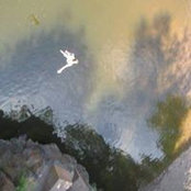 Dylan Ingeman's photo