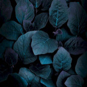 Neeranjana Natarajan's photo