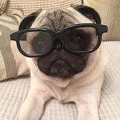 Kelly Chaisson's photo