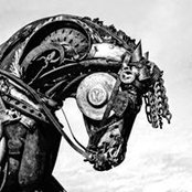 Muriel Chivot's photo
