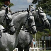 Foto de Tracy Larkin
