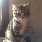 Mary Colella's photo