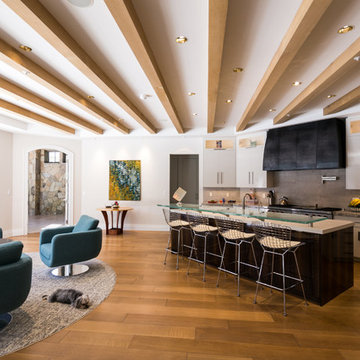 GOLD AWARD Renovation over 2,000 sq. ft.