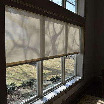 Interior Drop Shades