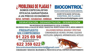 Best 15 Pest Control & Exterminators in Madrid, Madrid, Spain | Houzz