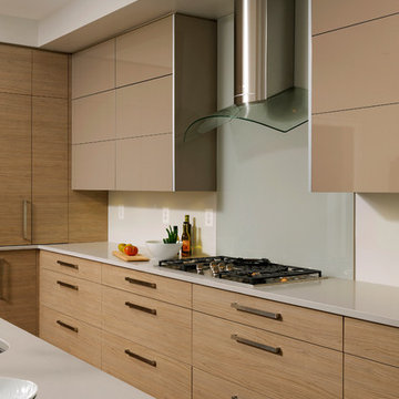 Washington D.C. - Contemporary - Kitchen Design