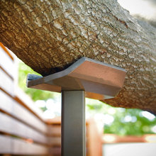 tree support