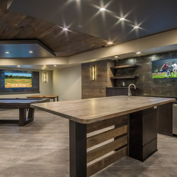Game Day Lower Level Remodel