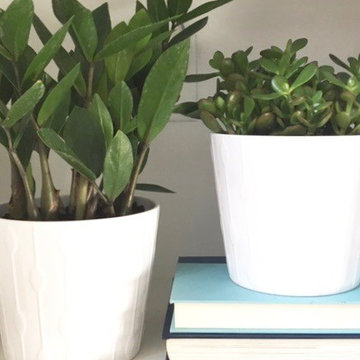 Rosemary Way Bookshelves