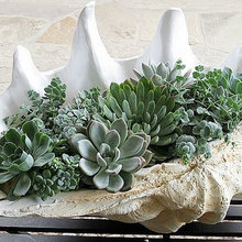 Transform Your Space: 5 Stunning Designs for Your Home This Summer