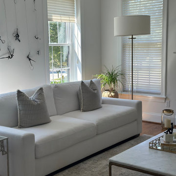 Modern-Traditional Living Room