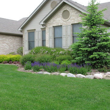Landscape Ideas