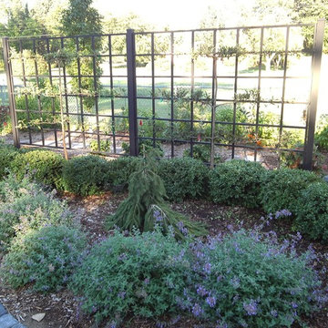 Espaliered Tree Trellis