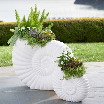 Spring 2015