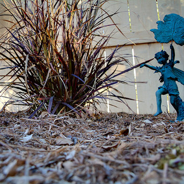 Bark Mulch o Contribute to Healthy Plant Growth