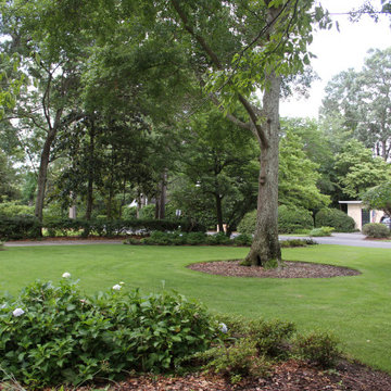 Curb Appeal-The Crescent neighborhood