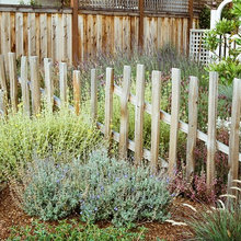 Maryland Landscaping Ideas