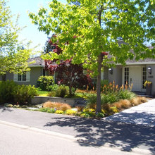 Front Yard Landscaping